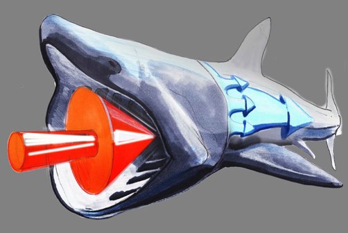 Strait Power Shark illustration